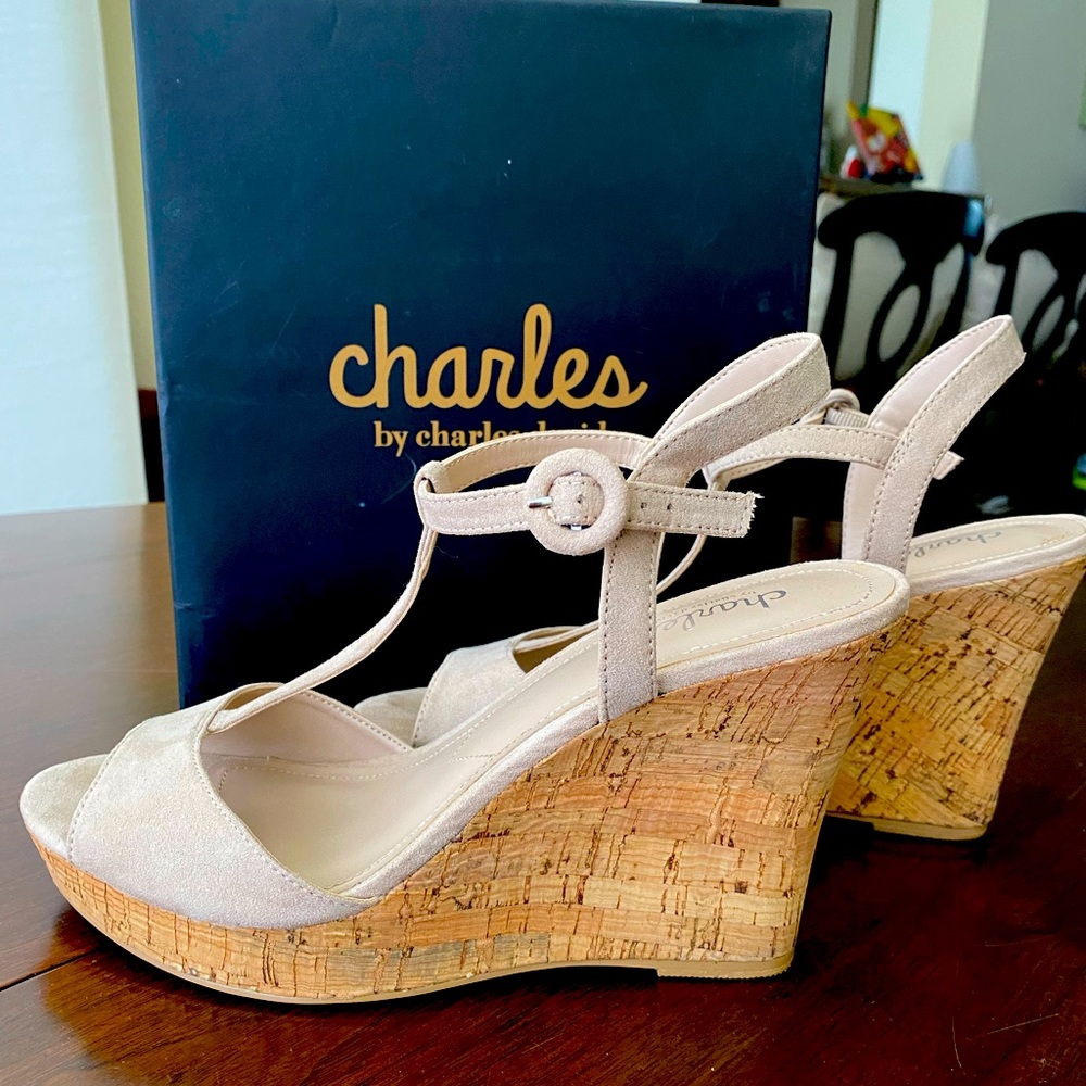 EUC Cork/wedge sandal